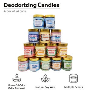 Velas Modernas de Cera de Soja Eliminadoras de Olores 420, Paquete de 24 Unidades con Aromas Surtidos en Tarro y Tapa Dorada para Fabricación de Sets LZ001 Almacén de EE. UU. - Product Image 1