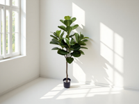 Ficus Lyrata réaliste, grand arbre artificiel en pot, verdure bionique décorative pour le salon, le meuble TV, le sol