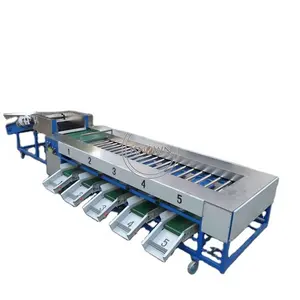 Multifunctionele Groente & Fruit Sorteermachine Fruit Sorter Avocado Sorteren Machine Zoete Aardappel Sorteermachine