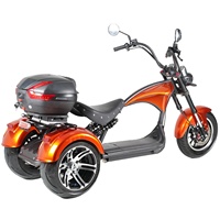Mangosteen 3 tekerlek M1P EEC COC 2000W elektrikli Scooter motosiklet 3 tekerlekler üç tekerlekli bisiklet elektrikli Citycoco kıyıcı