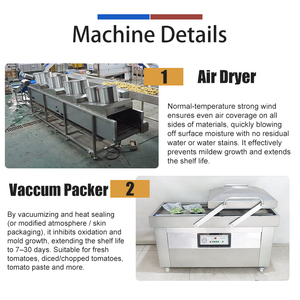 Machine de lavage et de séchage de tomates équipée d'un chariot élévateur avec bac basculant, ligne de nettoyage de tomates pour l'emballage direct - Product Image 3