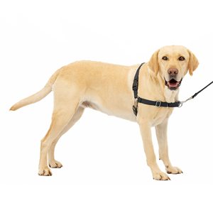 Pour <span class=keywords><strong>PetSafe</strong></span> pour <span class=keywords><strong>harnais</strong></span> pour chien Easy Walk <span class=keywords><strong>Harnais</strong></span> en nylon personnalisé pour chiens moyens à grands Réglable pour un contrôle facile sans <span class=keywords><strong>traction</strong></span> Fe - Product Image 6