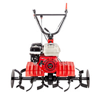 EUROSYSTEMS Motor-Hoe Euro 102 3 Speed Engine OHV Gx160 Rotavator 95 Cm Avec Disques Motorisateurs