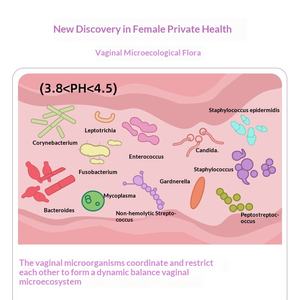 โปรไบโอติกส์ชนิดเม็ด 6 พันล้าน สำหรับสุขภาพสตรี ทำความสะอาดเฉพาะจุด โปรไบโอติกส์แอคทีฟ ฟื้นฟูหลังคลอด กระชับ บำรุง - Product Image 2