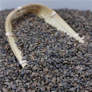 Graines <span class=keywords><strong>de</strong></span> <span class=keywords><strong>sarrasin</strong></span> chinoises sucrées brutes WENSHA <span class=keywords><strong>SARRASIN</strong></span> - Product Image 4