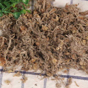 Hierba Gnathali <span class=keywords><strong>Affinis</strong></span> China de Alta Calidad, Ingrediente para Té Nutritivo y Sustituto del Té - Product Image 3