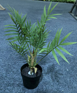 Planta Artificial Pequeña en Maceta al por Mayor, Bonsái Artificial de Plástico Pequeño, Decoración de Oficina - Product Image 4