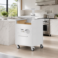 Barbecue au charbon de bois en acier inoxydable de qualité supérieure avec chariot, grills Asado et kit barbecue haut de gamme pour usage commercial