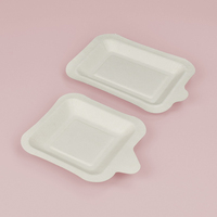 Plateau carré jetable pour gâteau d'anniversaire et dim sum, emballage à emporter biodégradable en bagasse de canne à sucre, assiettes à dessert, barbecue et collations