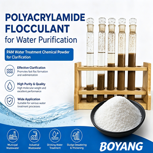 Poliacrilamida en Polvo Blanco de Alta Pureza, Floculante para Aguas Residuales de Impresión y Teñido Textil, Precio de <span class=keywords><strong>PAM</strong></span> - Product Image 3