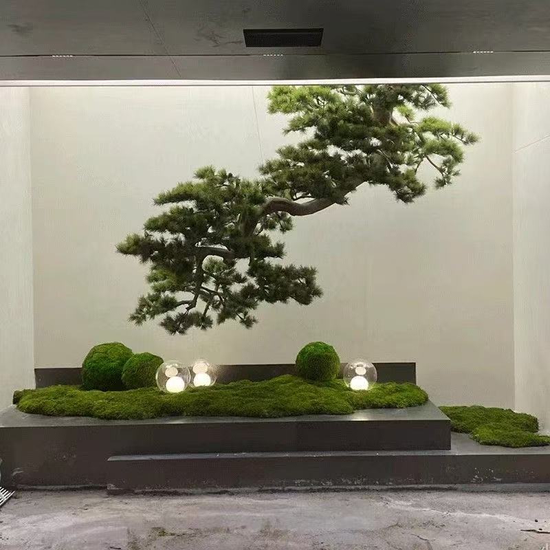 2.5m