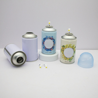 Bouteilles aérosols vides en fer blanc, conteneurs métalliques rechargeables pour gaz butane, pour le remplissage de gaz et l'emballage de produits aérosols
