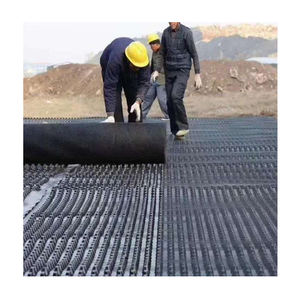 HDPE排水ボード複合ディンプルロードベース防水HDPE排水プラスチック排水ボード - Product Image 6