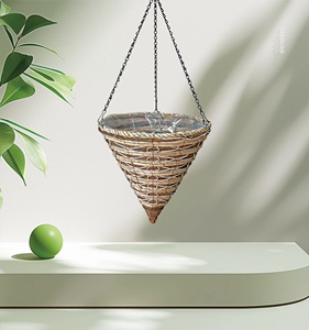 14 "Dương Xỉ vàng và loạt cây cọ Treo Giỏ đơn giản đẹp - Product Image 2