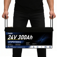Batterie de stockage d'énergie solaire au lithium LiFePO4 24V 100Ah 200Ah 250Ah 300Ah 400Ah 314Ah avec BMS, en stock UE