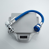 Robinet d'évier de cuisine en zinc coloré fabriqué en usine robinet à bec mural tuyau flexible en chrome eau froide pour une utilisation en cuisine