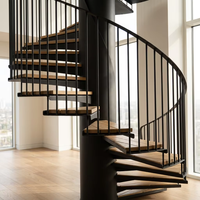 Escaliers en spirale extérieurs en acier au carbone galvanisé à chaud de qualité supérieure au prix le plus bas / Escalier en spirale en fonte directement de l'usine