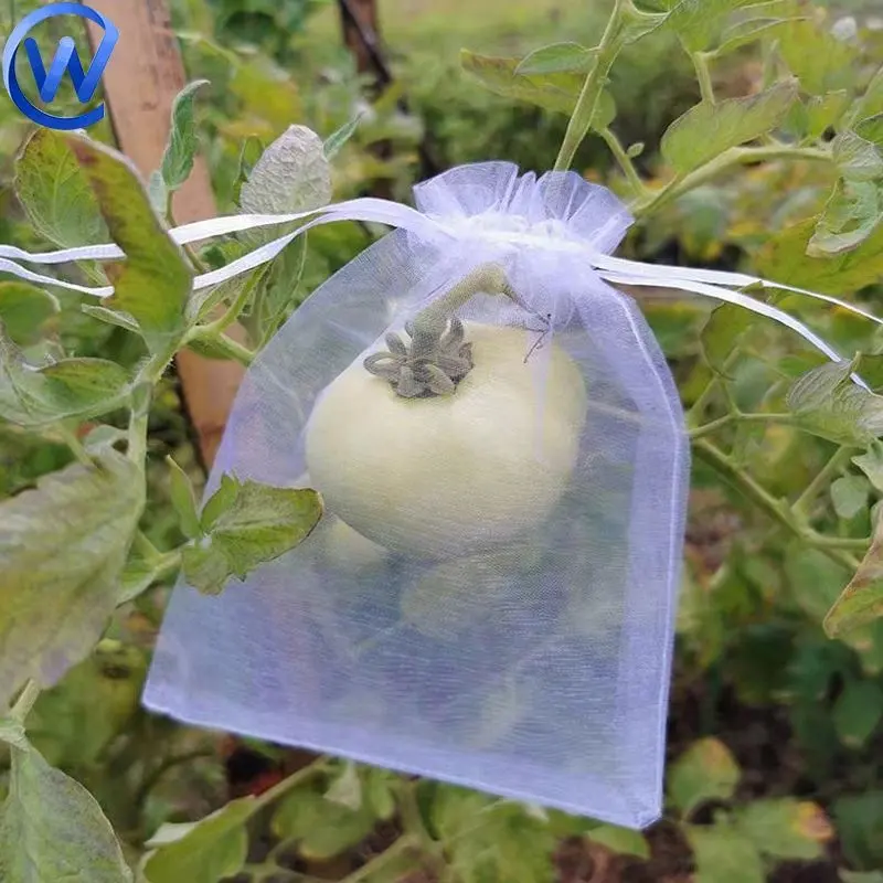 Vegetation Cover In China Transparent Farming Uv Treated Plant Cover Tomato Plant Protective Cover Anti Insect Bag