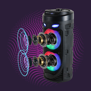Bán Buôn 100 Wát Live Party Box Di Động Ngoài Trời Karaoke <span class=keywords><strong>Loudest</strong></span> Whit Mic Blue Tooth Loa Ngọn Lửa Ánh Sáng - Product Image 5