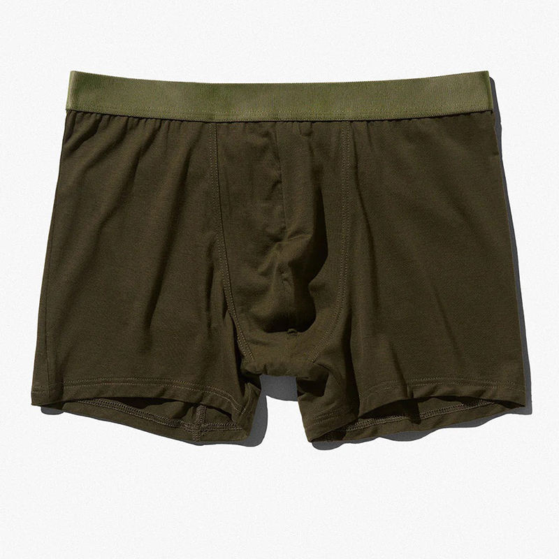 สีน้ำตาล