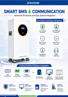 Batterie LiFePO4 25,6 V 2,5 kWh 5 kWh 10 kWh avec écran LCD, 8000 cycles, garantie 5 ans, batterie de stockage d'énergie solaire domestique