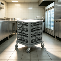 Chariot de drainage robuste multi-tailles en plastique pour lave-vaisselle, idéal pour les cuisines commerciales