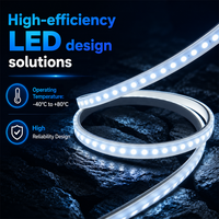 Bande LED pour tunnel souterrain, étanche IP67, 24V, pour usage minier, avec design IC à courant constant pour éclairage industriel