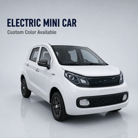 Micro-voiture électrique 3450 mm, petite, 4 portes, avec éclairage LED complet et freins à disque sur les 4 roues, pour le transport des clients d'hôtel, vente en gros