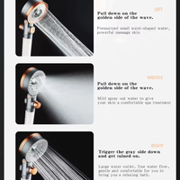 Pommeau de Douche Haute Pression Double Face Réglable avec Filtre, Douchette Multifonctionnelle pour Salle de Bain