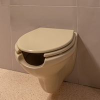 WC public à ouverture frontale, toilettes courbées, bidet commercial pour personnes âgées, toilettes de thérapie hydrosanitaire suspendues, ergonomiques
