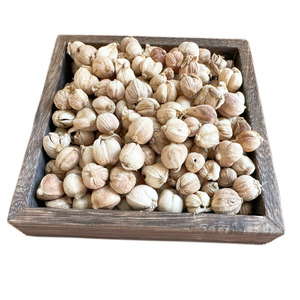 Vente en gros d'herbes simples d'épices chinoises au détail de couleur originale Cardamome blanche de qualité supérieure pour cuisinier - Product Image 2