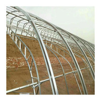 Dernière Technologie Couverture de Serre Monospan pour l'Agriculture Légumière Serre Tunnel Commerciale avec Matériau en Film