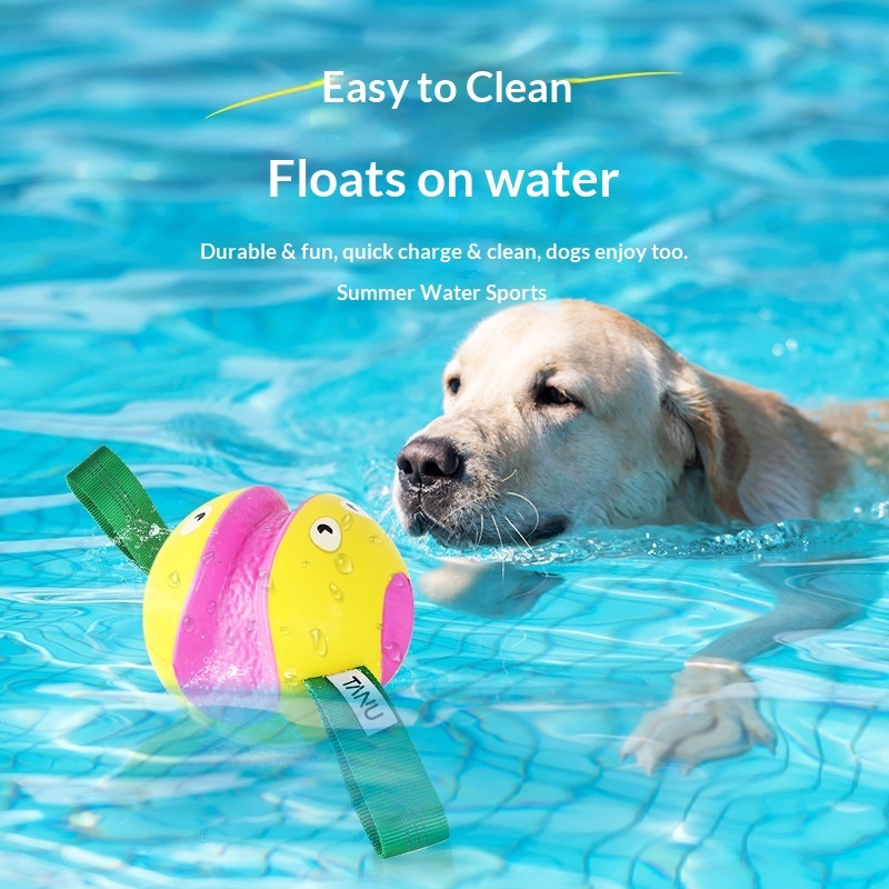 High-Elasticity TPU Sport Dog Chew Toy Ball – Durable Waterproof Fetch & Tug Ball - View 6