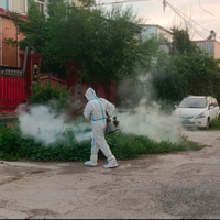 Pulvérisateur thermique à dos pour pesticides, prix usine