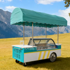 Camión de helados, Vitrina expositora de helados, Carro de gelato, Congelador de calle, Carro móvil de helados, Carro de comida, Carro de flores para exteriores - Product Image 2