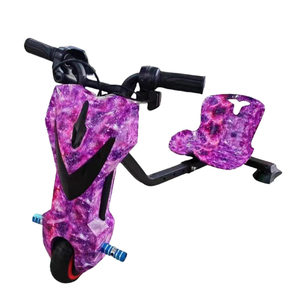 Kart électrique pour enfants avec interrupteur de vitesse basse et haute, 350W 36V, conduite facile et amusante - Product Image 4