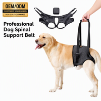 Harnais de levage pour chien de qualité médicale, soutien de la colonne vertébrale pour animaux de compagnie seniors, en maille respirante, polyester durable, toutes saisons, écharpe dorsale OEM