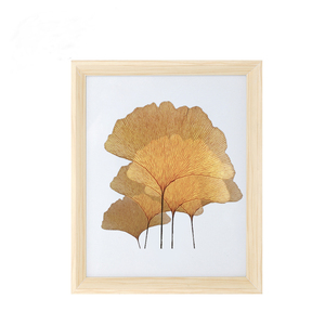 Hiện đại <span class=keywords><strong>DIY</strong></span> Khung ảnh bằng gỗ với kính cho trang trí nội thất tùy chỉnh-kích thước thực vật mẫu hộp hiển thị sáng tạo mẫu khung - Product Image 5