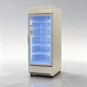 Exhibidor de Bebidas Comercial de 200L con Descongelación Manual, 2 Puertas, Enfriamiento por Ventilador, Enfriador de <span class=keywords><strong>Cerveza</strong></span> y Bebidas - Product Image 4
