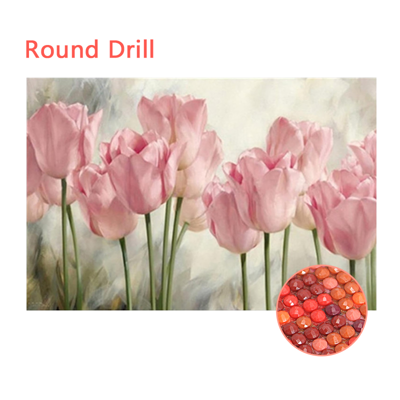 Tulipani rosa-trapano rotondo