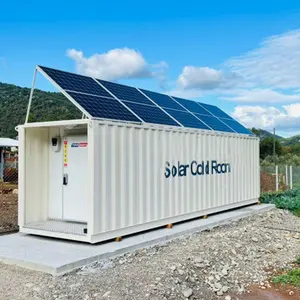 Arteco 20ft 40ft solar cold room freezer refrigeration unit container powered solar cold storage for meat fruits vegetables fish