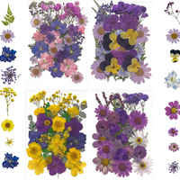 Fleurs pressées naturelles préservées, forme entière, pour décoration de vase, fabrication de bougies, DIY, nail art, scrapbooking, artisanat