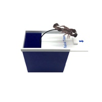 Meilleures ventes pour Tricks Collection Jump Box Nouveauté Blagues Gag Cadeau avec Snake Spider Scorpion Centipede Durable