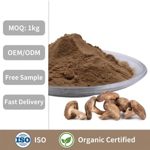 Poudre de champignons shiitake biologiques certifiée UE et USDA - Product Image 2