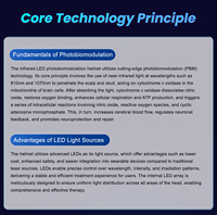 Casque de luminothérapie LED professionnel Suyzeko Strong Factory 21 Zones 810nm 1070nm 0-20000Hz 420 LED pour la fonction neurologique