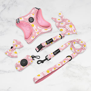 Et eash <span class=keywords><strong>Collar</strong></span> ddjustable raining llovizest ir ESH ish lalaids Weed et Artan artustom tetep in og Arness - Product Image 1