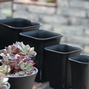 Pots de fleurs carrés en plastique écologique noir créatifs de 4 pouces pour plantes succulentes, utilisation à la maison et au jardin - Product Image 4