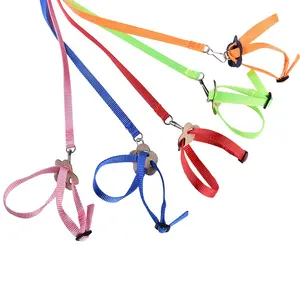 small animals leash multicolor adjustable bird harness and leash complete set birds harness training Parrot leash