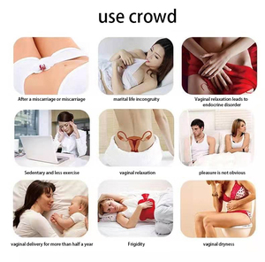 Mesin Peremajaan Vagina HIFU Portabel 2026 Teknologi UltraSound Pengencangan Vagina Penghilang Kerutan Penggunaan Tubuh ABS 2in1 CE - Product Image 4