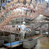 Machine à épiler les plumes de poulet en acier inoxydable CE ISO 1000-8000 Bph utilisée dans une ligne de traitement d'abattage automatique